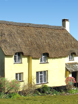 Thatched cottage